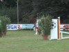 jumper Champen (German Sport Horse, 2007, from Casado)