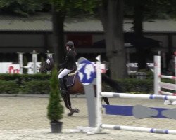 jumper Cachou Lajaunie MH (German Riding Pony, 2008, from FS Chicago)