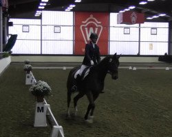 dressage horse Rubinho 14 (Westphalian, 2007)