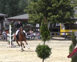 jumper Hugerlandshofs Miss Mimi (German Riding Pony, 2007, from Mr.Hale Bob)