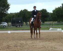 dressage horse Lou Pitchou de Charry (Hanoverian, 2005, from Londonderry)