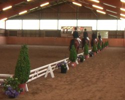 dressage horse Lefinia (Hanoverian, 2008, from Lehmann)