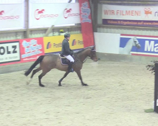 Reitturnier Negernbötel 2021, 8. Nordic Jumping event 2020/2021