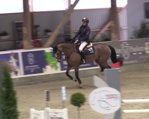 Reitturnier Negernbötel 2021, 8. Nordic Jumping event 2020/2021