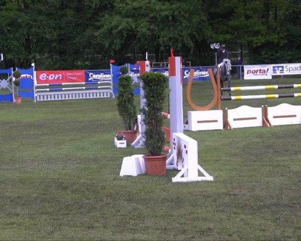 Springpferd Sligo Oscar (Irish Sport Horse, 2006, von Hello Oscar)