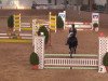 jumper Giulia 60 (German Riding Pony, 1994, from Three-Stars Dumbledore)