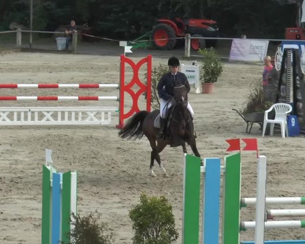 jumper Wilawanda SP (German Riding Pony, 2008, from Charivari)