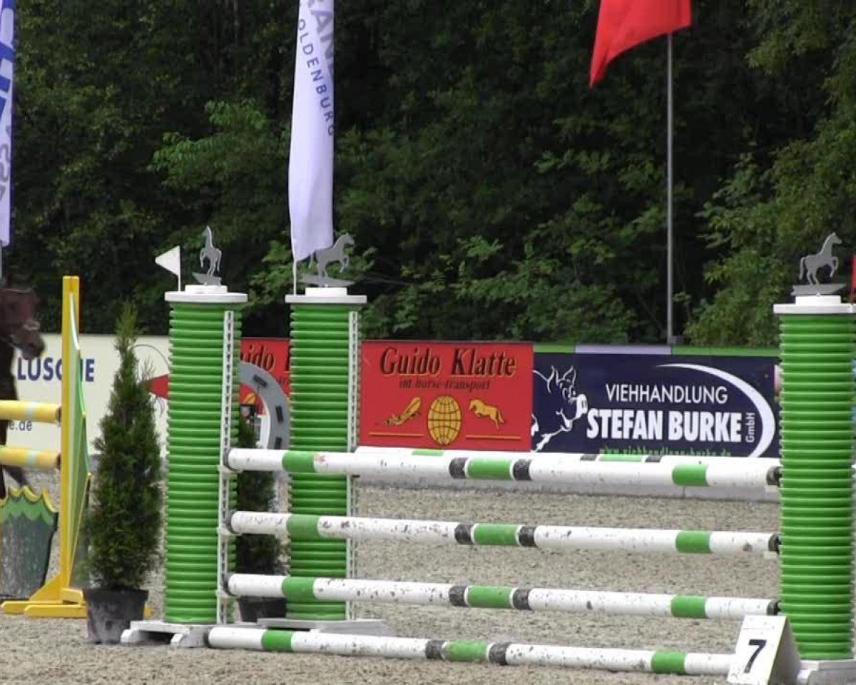 Zuchtstute Jeanny H (Deutsches Reitpony, 2008, von Kennedy WE)