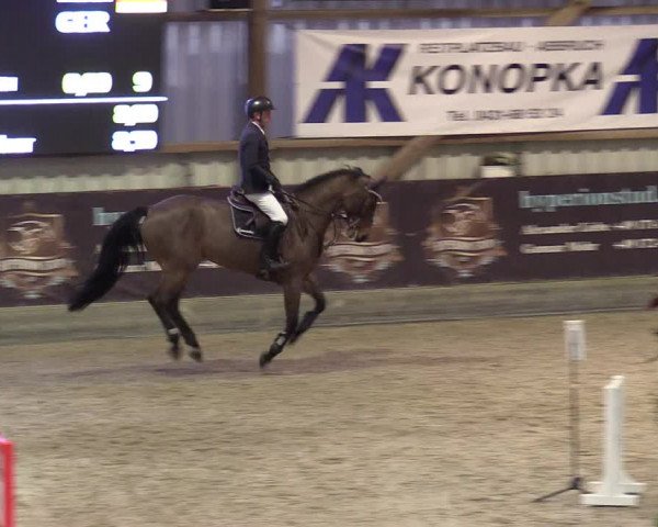 Reitturnier Negernbötel 2021, 8. Nordic Jumping event 2020/2021