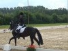 dressage horse Namigo (German Riding Pony, 2008, from Nagano)