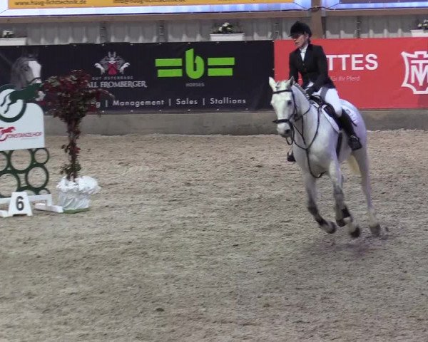 Reitturnier Negernbötel 2021, 8. Nordic Jumping event 2020/2021