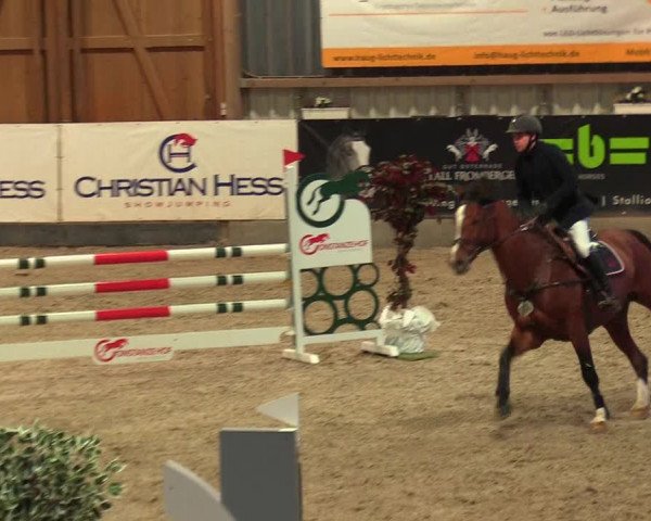 Reitturnier Negernbötel 2021, 8. Nordic Jumping event 2020/2021