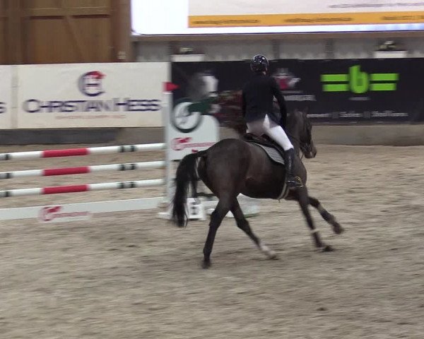 Reitturnier Negernbötel 2021, 8. Nordic Jumping event 2020/2021