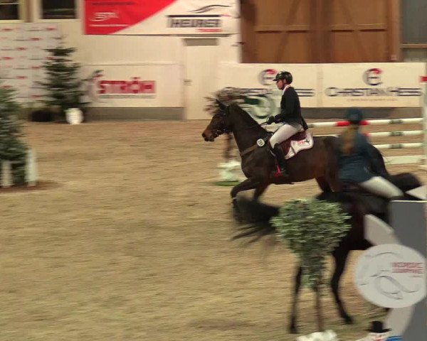 Reitturnier Negernbötel 2021, 8. Nordic Jumping event 2020/2021