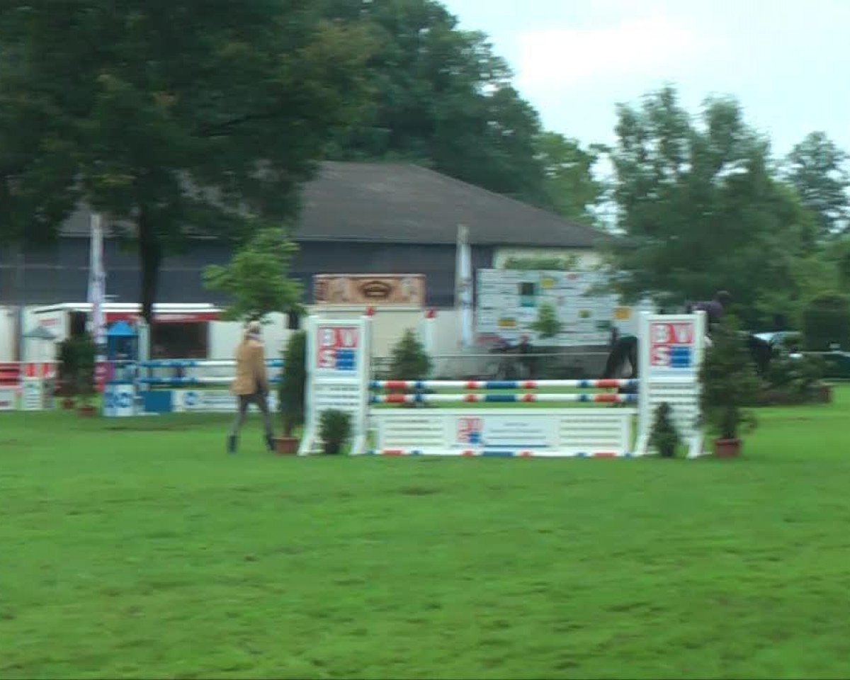 jumper Elmo 19 (Hanoverian, 2007, from Escudo I)