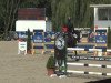 jumper Lassida 3 (Hanoverian, 2007, from Light and Easy)