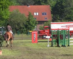 dressage horse Florida Girl 5 (Westphalian, 2008, from Fürst Grandios)