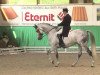 dressage horse Teglvangs West Point (Danish Warmblood, 2003, from Willemoes)