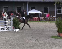 jumper Adventure 50 (KWPN (Royal Dutch Sporthorse), 2004, from Indorado)