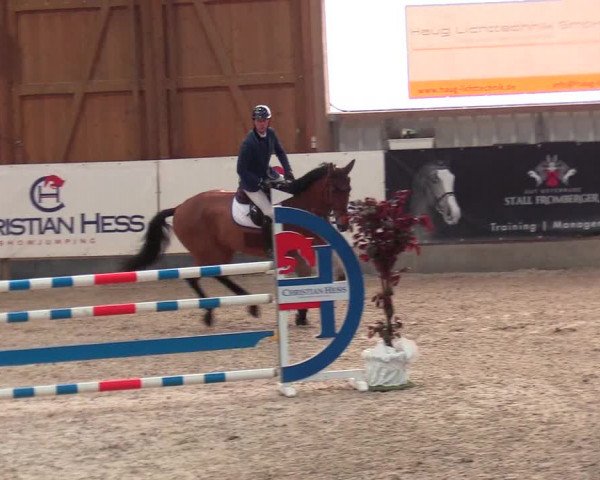 Reitturnier Negernbötel 2021, 8. Nordic Jumping event 2020/2021
