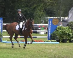 jumper Zara 108 (KWPN (Royal Dutch Sporthorse), 2008)