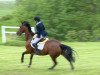 jumper Winnjess Opal Moon (Irish Sport Horse, 2006)