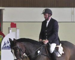 dressage horse Bon Jour 19 (Bavarian, 2007, from Sir Sandro)