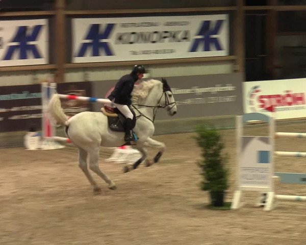 Reitturnier Negernbötel 2021, 8. Nordic Jumping event 2020/2021