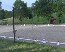 dressage horse Leandro Legi (Westphalian, 2004, from Laomedon)