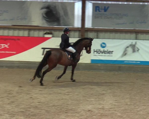 Reitturnier Negernbötel 2021, 8. Nordic Jumping event 2020/2021