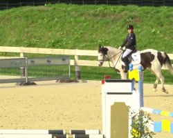 dressage horse Magic-Eyes (Trakehner, 2007, from Polarzauber TSF)