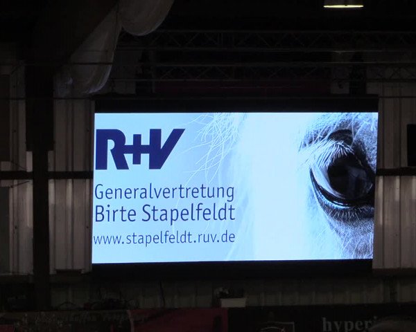 Reitturnier Negernbötel 2021, 8. Nordic Jumping event 2020/2021