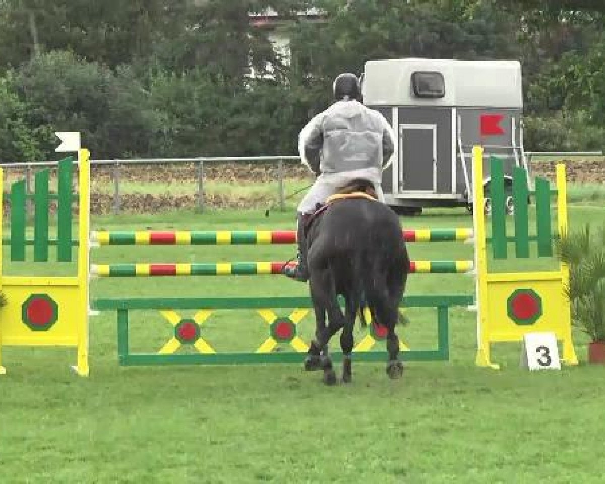 Springpferd Fantastic Felina (unbekannt, 2007)