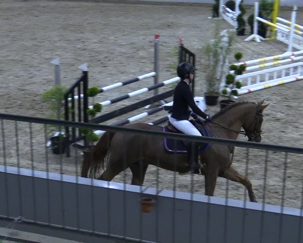 Reitturnier Luhmühlen 2021