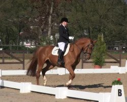 dressage horse Retina 191 (Westphalian, 2009, from Rimini)