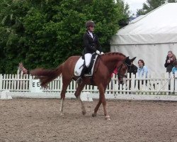 dressage horse Pamina 449 (Rhinelander, 2007, from Peking)