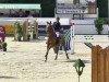 jumper Larnaca 3 (Hanoverian, 2007, from Ludwig von Bayern 168 FIN)