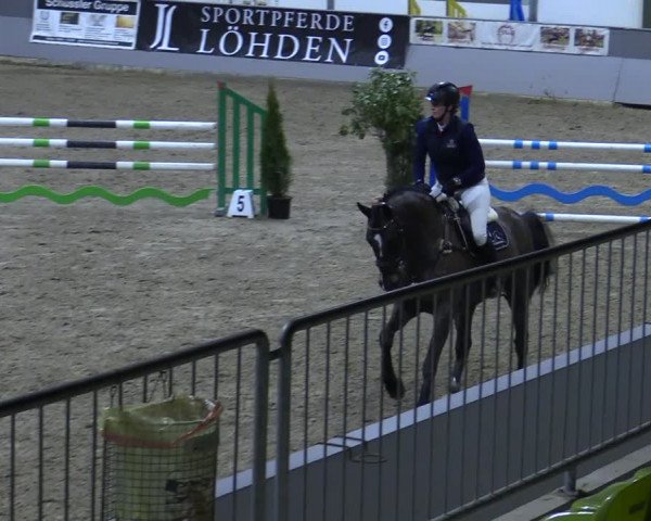 Reitturnier Luhmühlen 2021