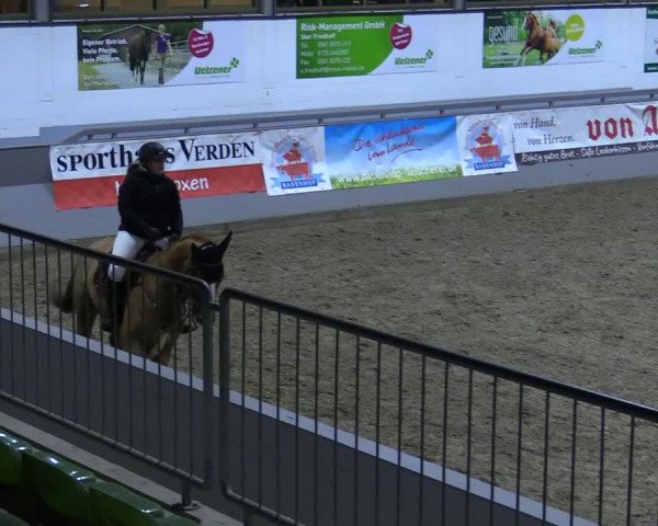 Reitturnier Luhmühlen 2021
