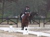 dressage horse Lord Primero L (Westphalian, 2007, from Lord Sinclair I)