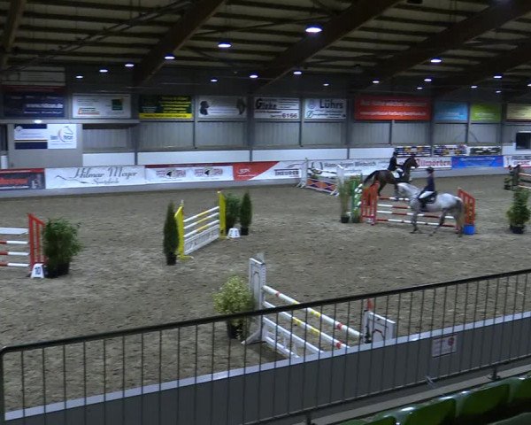 Reitturnier Luhmühlen 2021