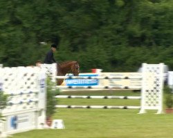 jumper Kerry Jigs (Oldenburg show jumper, 2007, from Epsom Gesmeray)