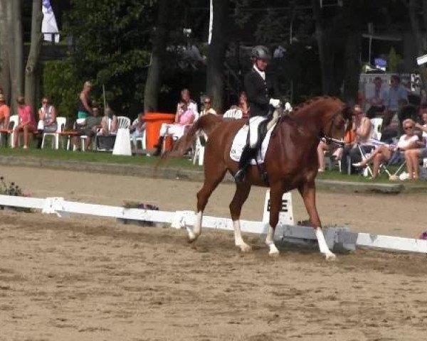 dressage horse Quatre-Pieds-Blancs (Hanoverian, 2009, from Quaterback)