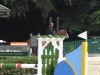 jumper Laskadeur (Oldenburg show jumper, 2007, from Landfuerst)