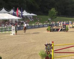 jumper Willem Sw (KWPN (Royal Dutch Sporthorse), 2003, from Emilion)