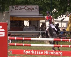 Springpferd Coco (Holsteiner, 2008, von Calato)