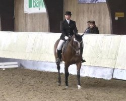 dressage horse Get Fuzzy (Swedish Warmblood, 2003, from Robin Z)