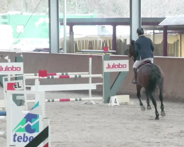 Reitturnier Lahr-Langenwinkel 2021