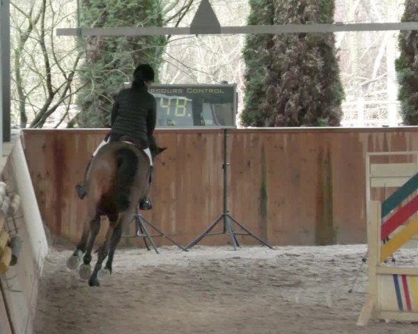 Reitturnier Lahr-Langenwinkel 2021