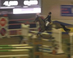 Springpferd Harmke V D Zwartbleshoeve (Belgisches Warmblut, 2007, von Nonstop)